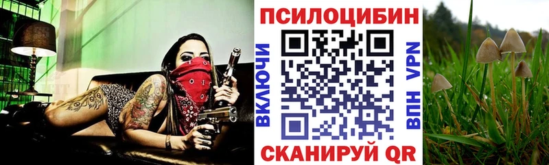 это клад  где продают   KRAKEN   Комсомольск-на-Амуре  Псилоцибиновые грибы ЛСД 