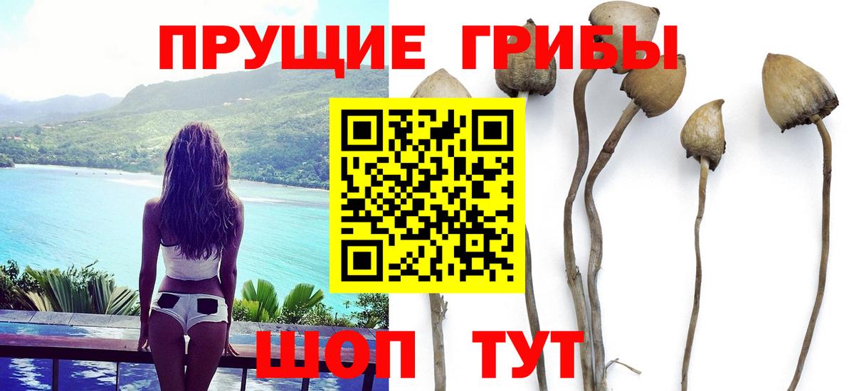 Псилоцибиновые грибы ЛСД Комсомольск-на-Амуре